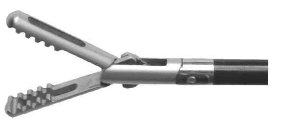 Maryland Grasper được tổng hợp